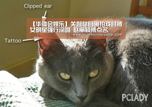 【华体会娱乐】关智斌自曝拍戏时被女明星强行深吻 赵丽颖被点名(图2) 华体会赛事