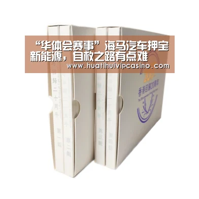“华体会赛事”海马汽车押宝新能源,自救之路有点难(图3) 华体会直播