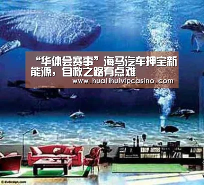 “华体会赛事”海马汽车押宝新能源,自救之路有点难(图2) 华体会平台