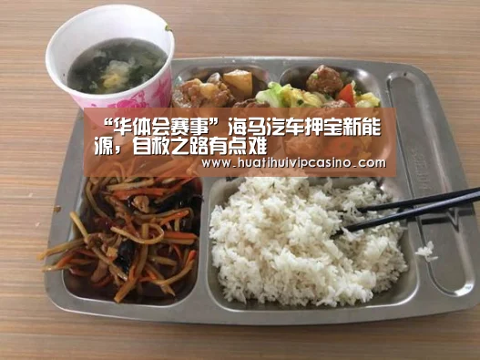 “华体会赛事”海马汽车押宝新能源,自救之路有点难(图4) 华体会直播